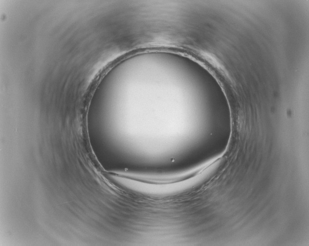 X0000057091356200510071900