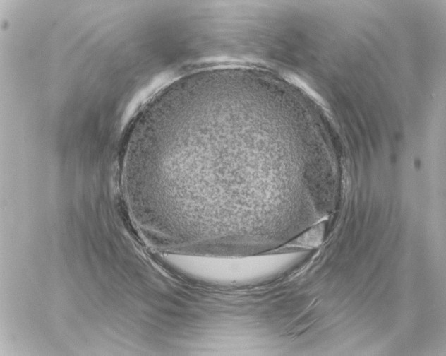 X0000057091357200510071900