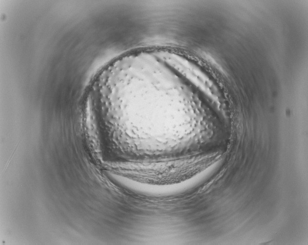 X0000057091358200510071900