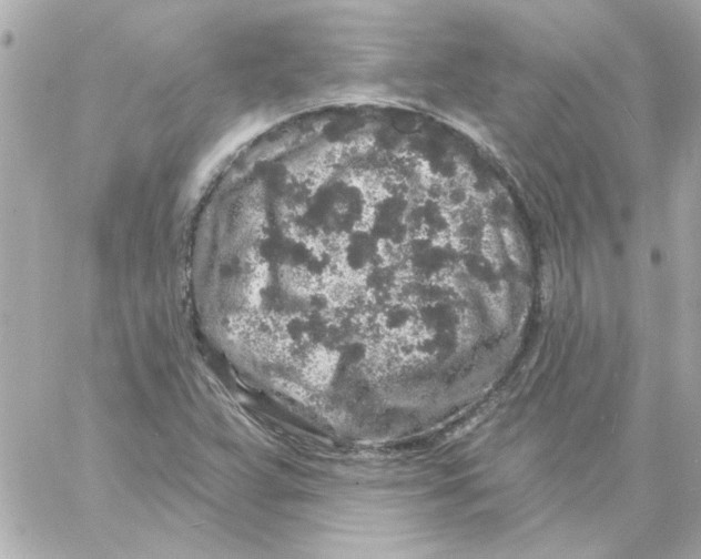 X0000057091359200510071900