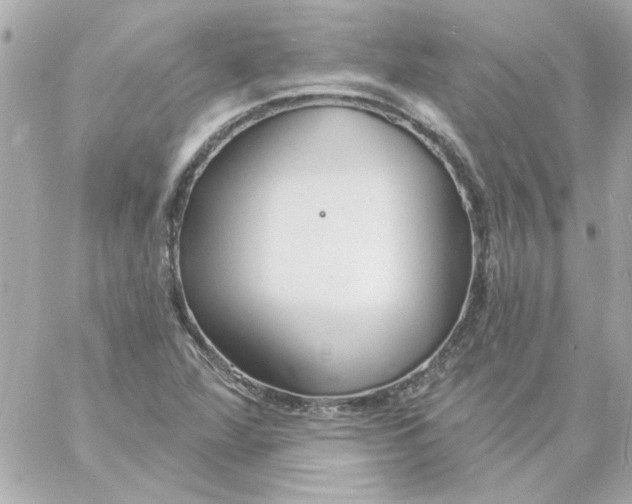 X0000057091360200510071900