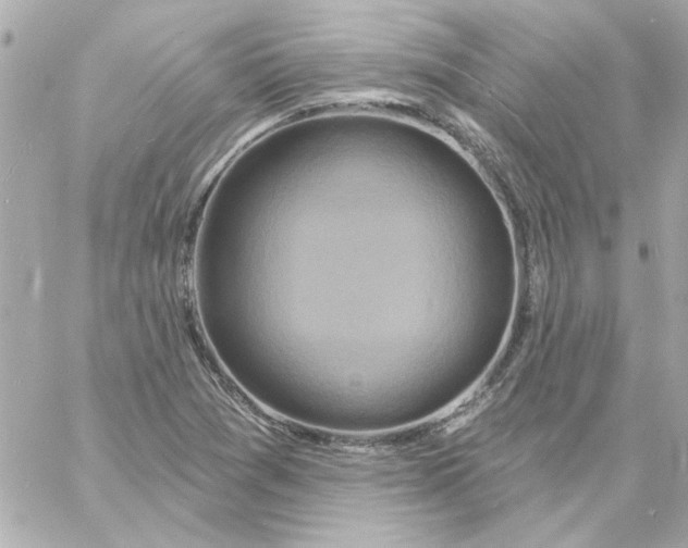 X0000057091361200510071900