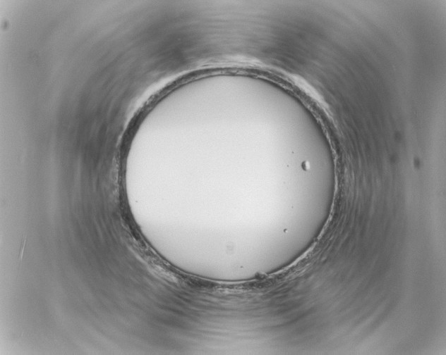 X0000057091364200510071900