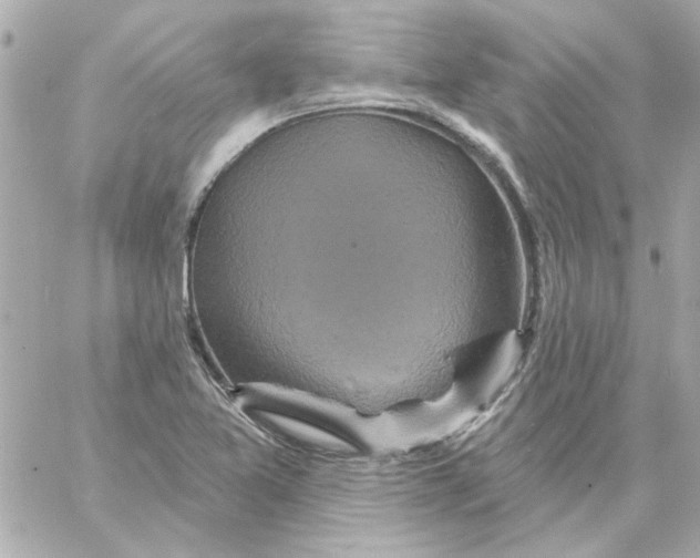 X0000057091365200510071900