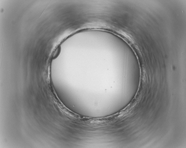 X0000057091366200510071900