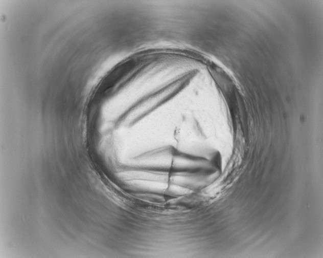 X0000057091367200510071900