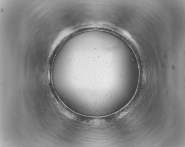 X0000057091368200510071900