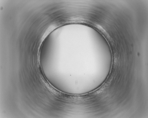 X0000057091370200510071900