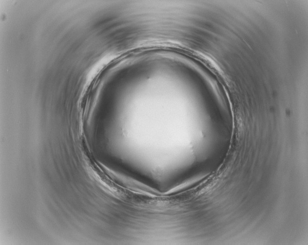 X0000057091371200510071900