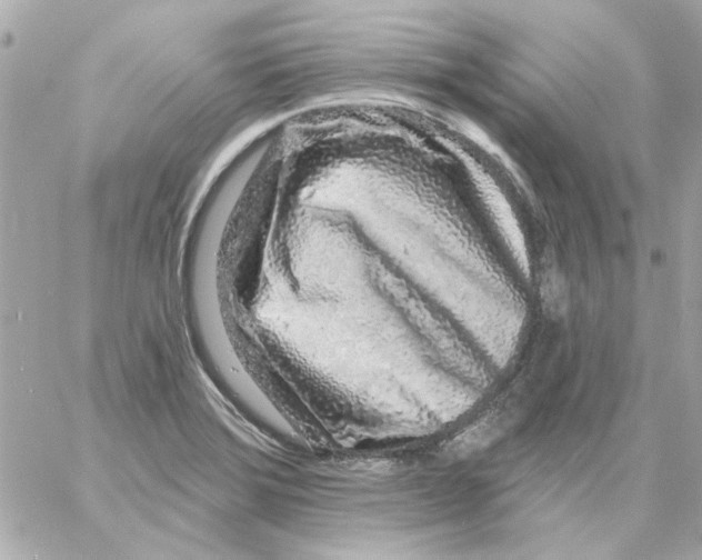 X0000057091372200510071900