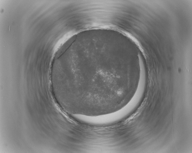 X0000057091373200510071900