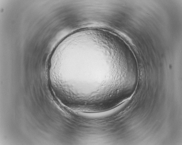 X0000057091375200510071900