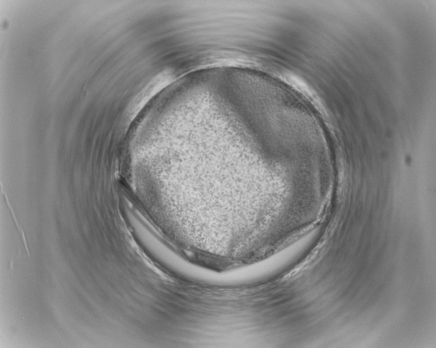 X0000057091377200510071900