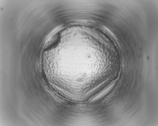 X0000057091378200510071900