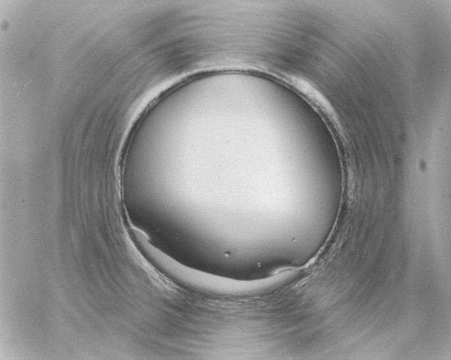 X0000057091380200510071900