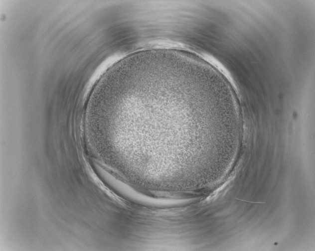 X0000057091381200510071900