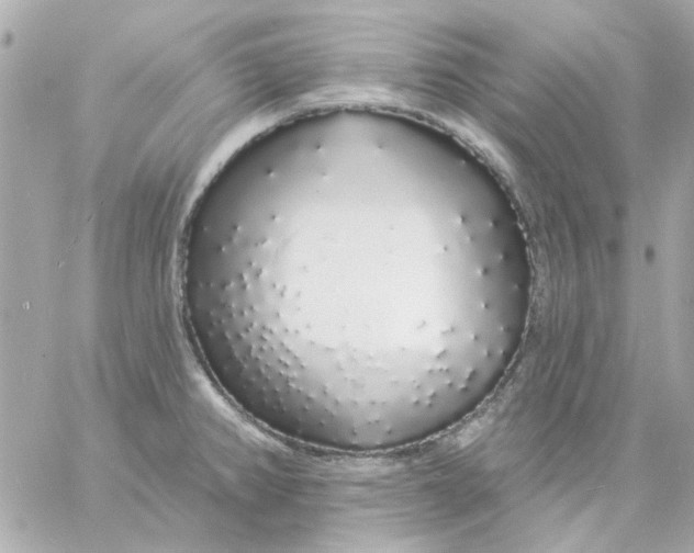 X0000057091382200510071900