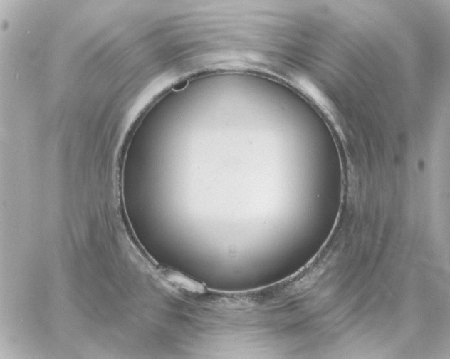 X0000057091384200510071900