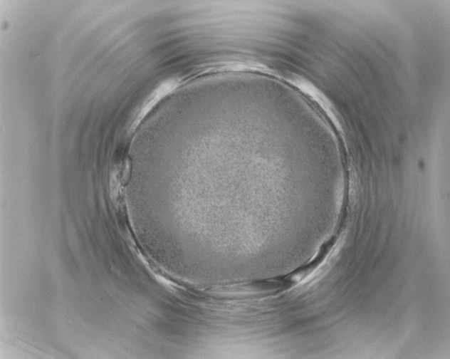 X0000057091385200510071900