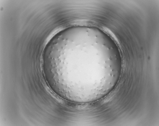 X0000057091386200510071900