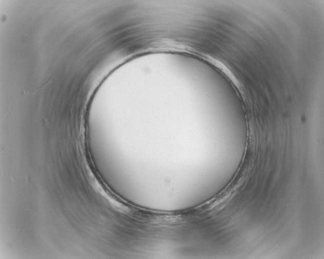 X0000057091387200510071900