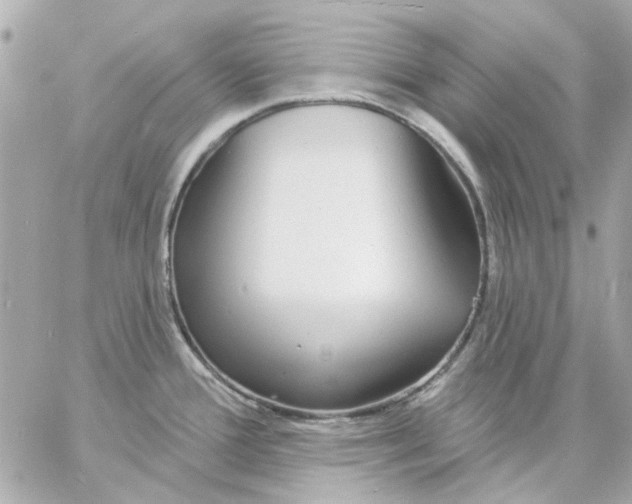 X0000057091388200510071900