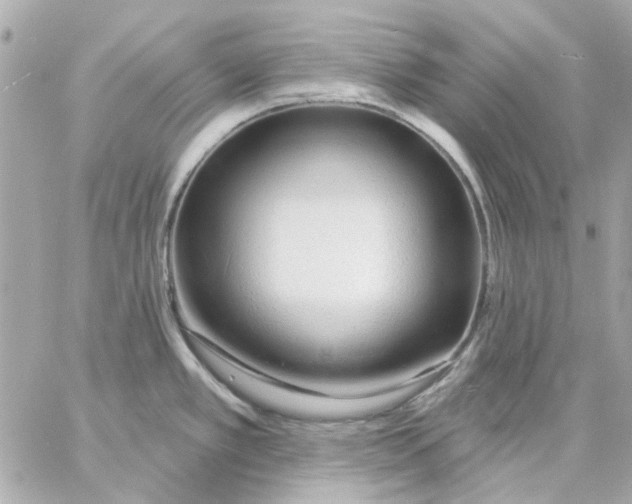 X0000057091389200510071900