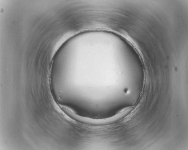 X0000057091390200510071900