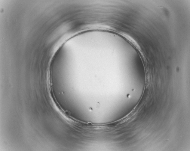 X0000057091391200510071900