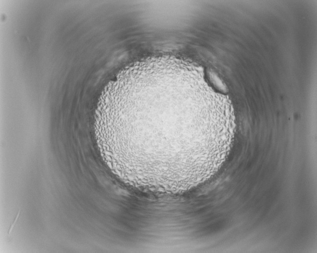 X0000057091393200510071859