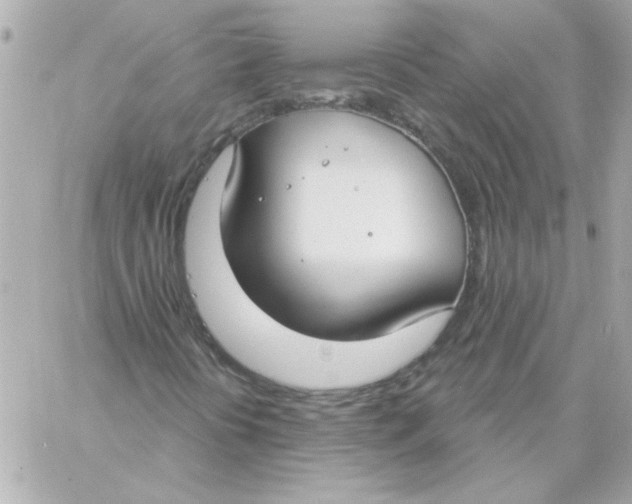 X0000057091394200510071859