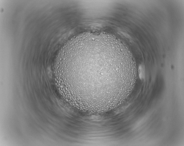 X0000057091395200510071859