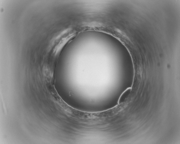 X0000057091398200510071859