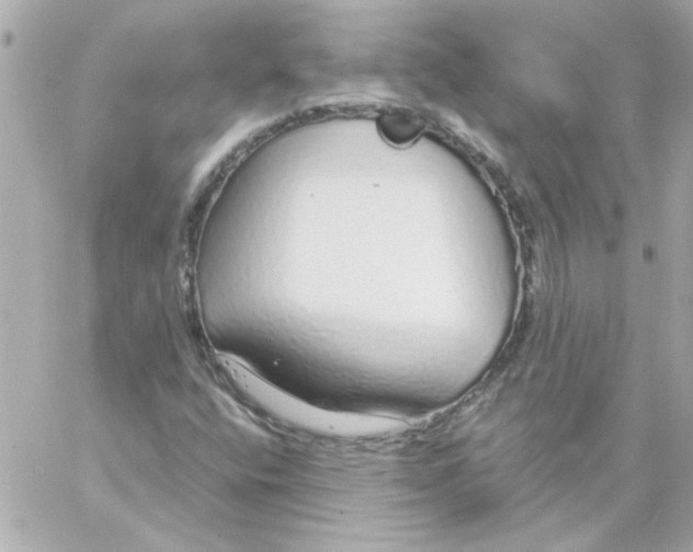 X0000057091400200510071859