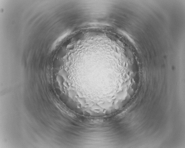 X0000057091403200510071859