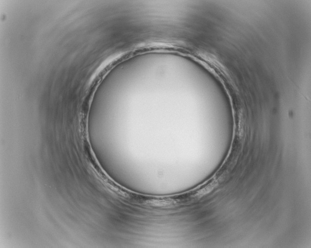 X0000057091404200510071859