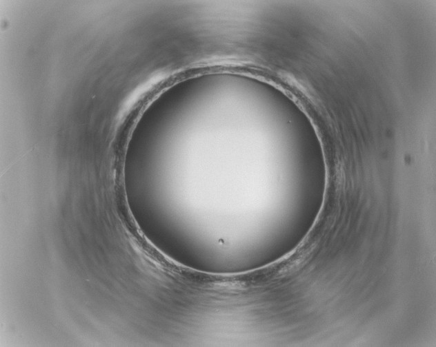 X0000057091406200510071859