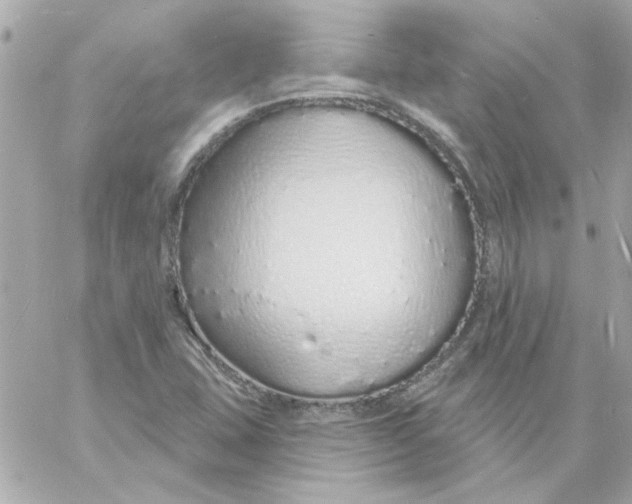 X0000057091407200510071859