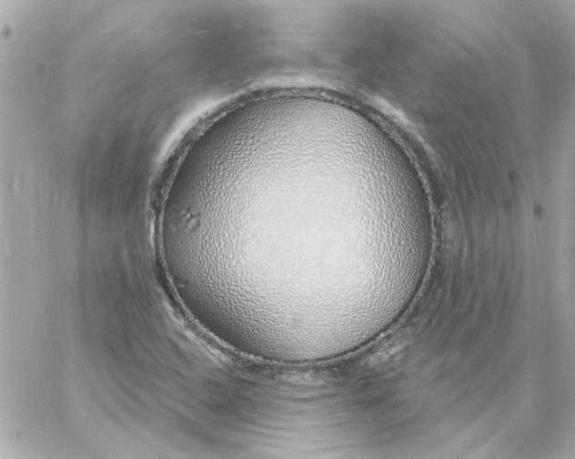 X0000057091408200510071859