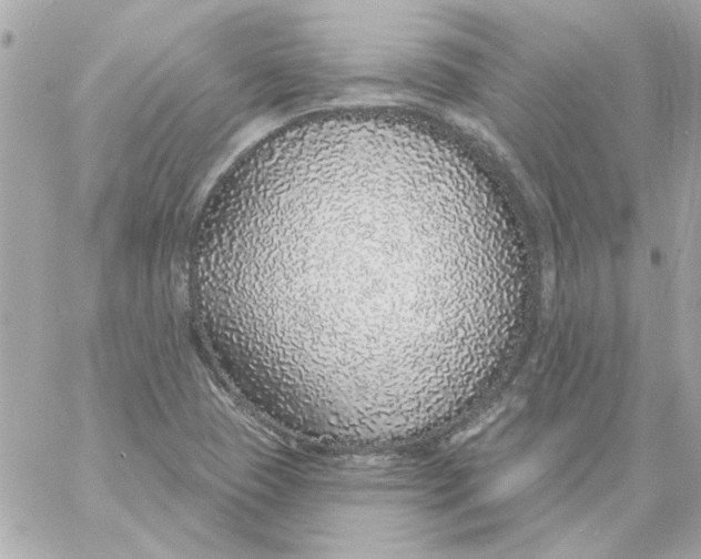 X0000057091409200510071859