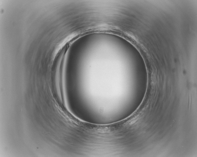 X0000057091410200510071859