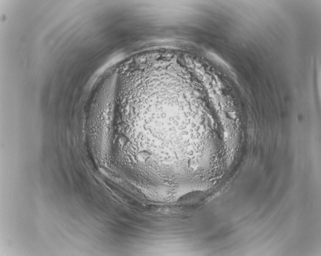 X0000057091411200510071859