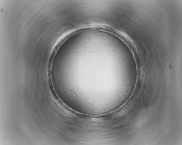 X0000057091412200510071859