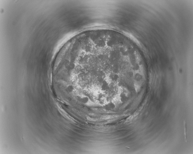 X0000057091413200510071859