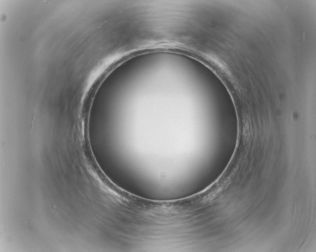 X0000057091414200510071859