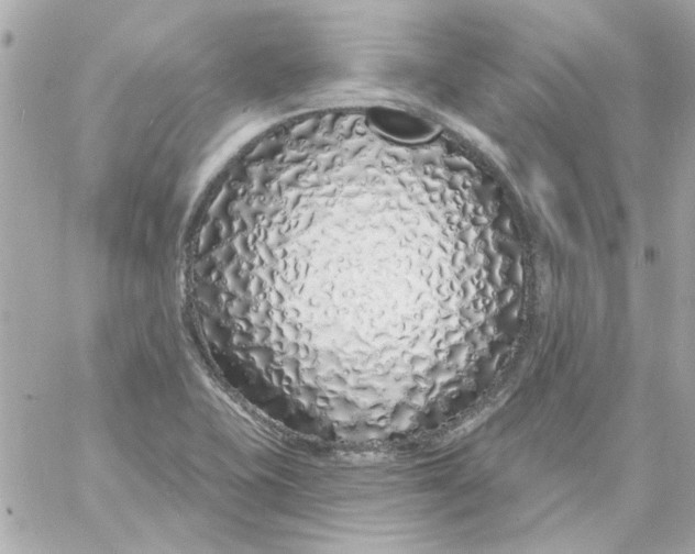 X0000057091415200510071859