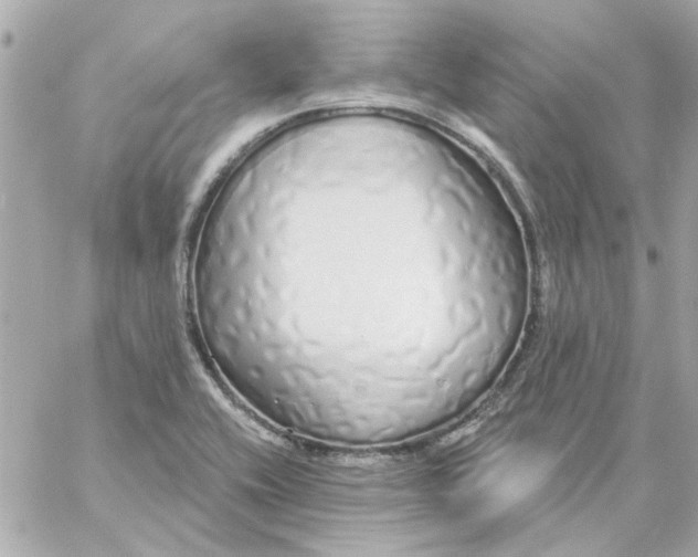 X0000057091416200510071859