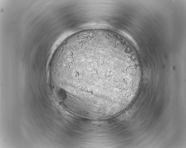 X0000057091419200510071859