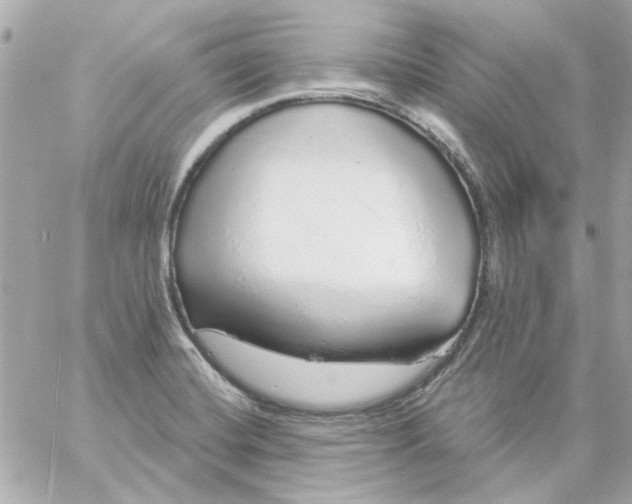 X0000057091420200510071859