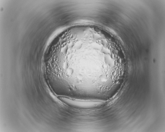 X0000057091421200510071859